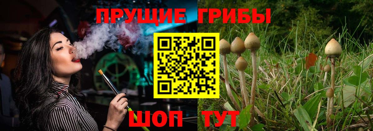 Галлюциногенные грибы мухоморы Боровичи