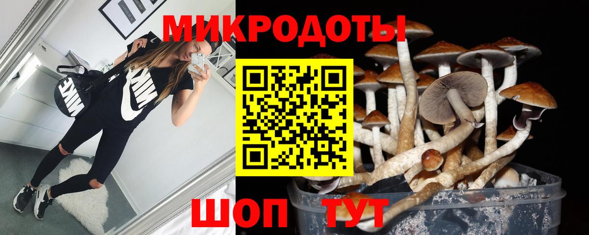 Боровичи  Псилоцибиновые грибы Psilocybine cubensis  Вход с VPN 